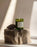Cedarwood / Petitgrain Candle