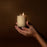 The Sauna - Cedar + Mist - 8oz Glass Candle