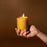 The Solarium - Fig + Basil - 8oz Glass Candle