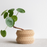 Minimum ITO Indoor Planter